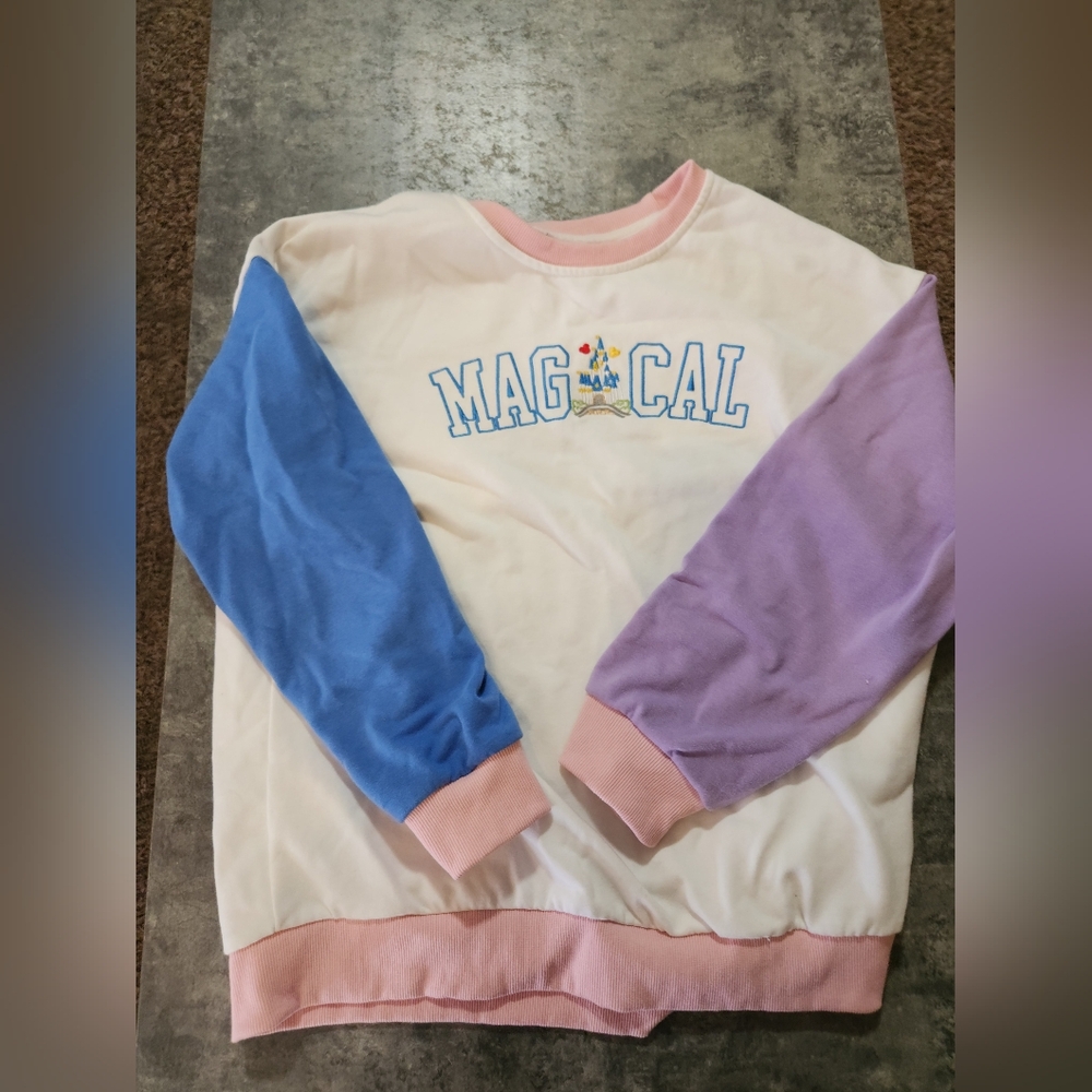 Disneyworld pull over